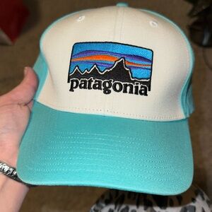 Patagonia Trucker Hat